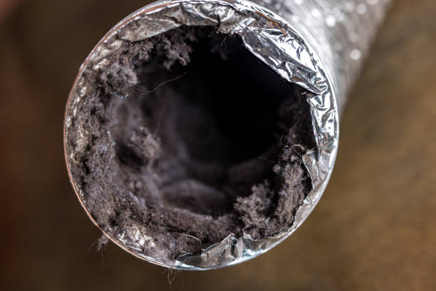 Best Local Air Duct Cleaning Services  in Ridgecrest, FL