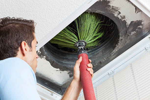 Air Duct Mold Removal in FL